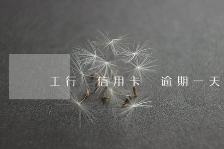 工行 信用卡 逾期一天 工行 信用卡 逾期一天
